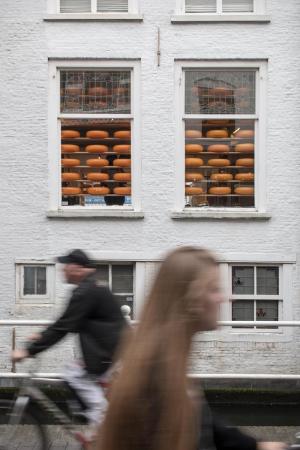 Widok z tyłu sklepu z serami w Delft, Holandia.